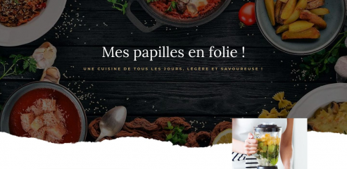 https://www.mespapillesenfolie.fr